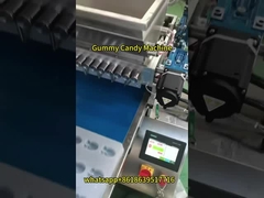 Snack Food Machinery