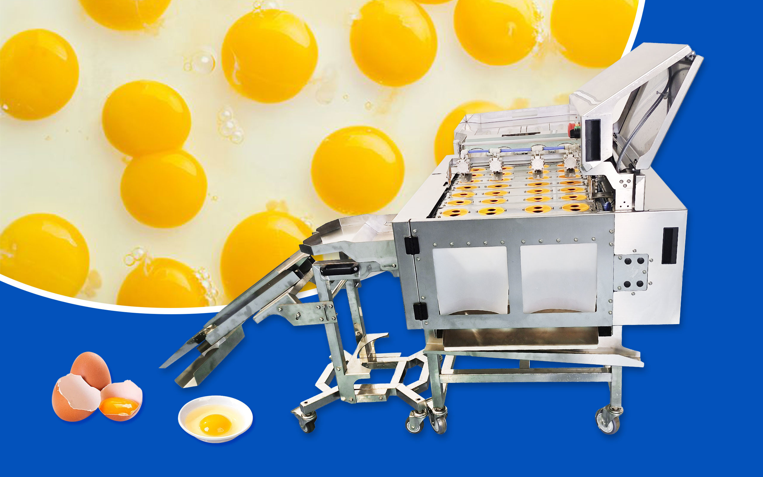 Latest company blogs about How to quickly separate a large amount of eggshell liquid