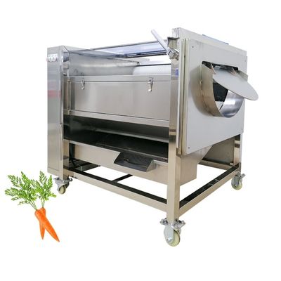 Buy Large Scale Production Fruit Vegetable Processing Equipment with 220V Voltage online manufacture