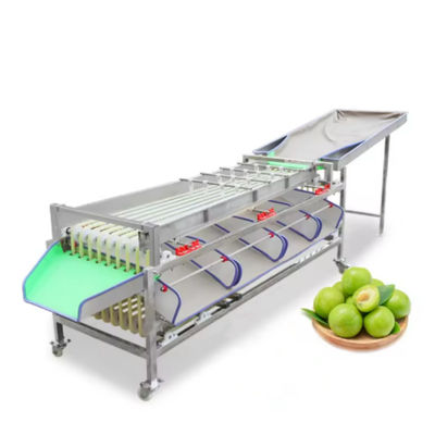Buy Hotels Benefit From Fruit Weight Selecting And Automatic Fruit Size Grader For Fruit Vegetable Processing Machine online manufacture