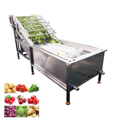 Multifunctional Ginger Washing Double Bubble Water Spinach Industrial Fruit Washing Ozone System